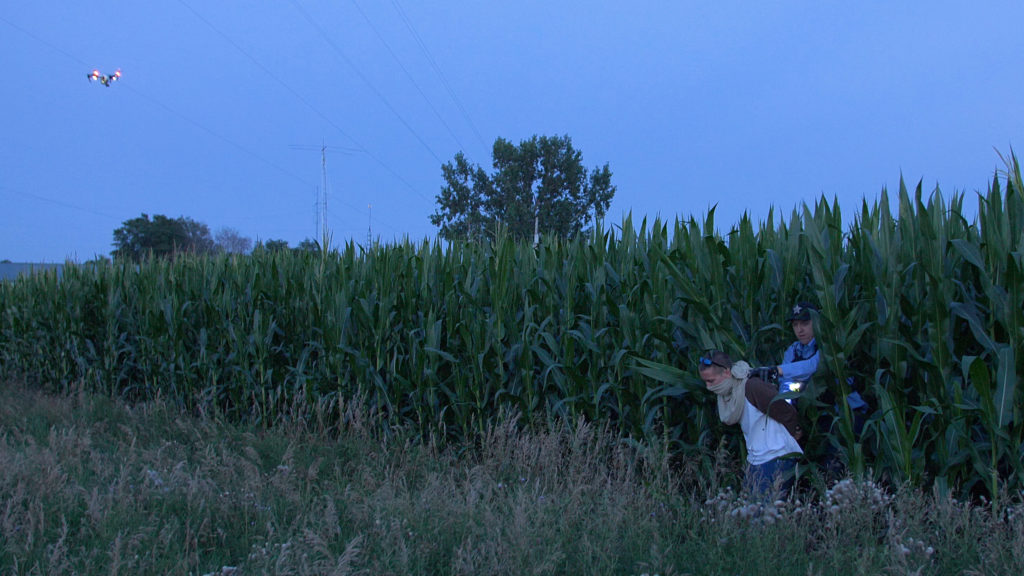 Law enforcement is able to apprehend suspect in corn field